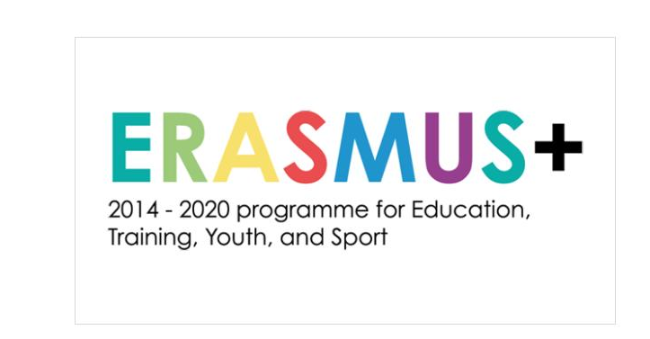 Erasmus Partners in Ireland