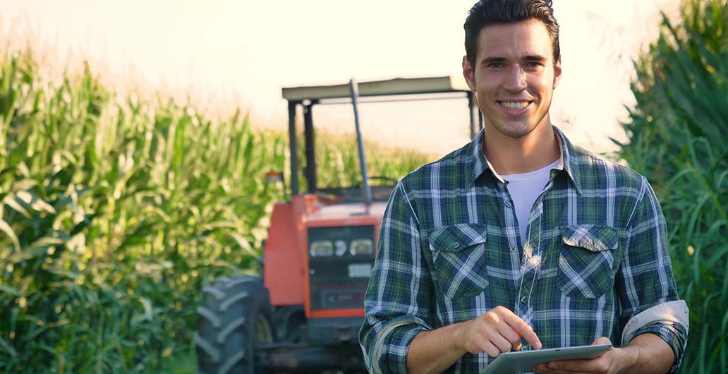 Agri Work Placement and English Language Program in Ireland